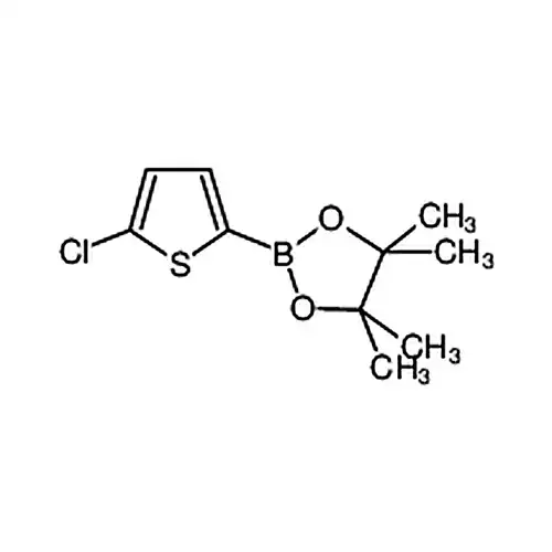 5-氯噻吩-2-硼酸频哪醇酯