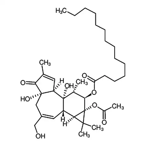 4α-佛波醇12-十四酸酯13-乙酸酯