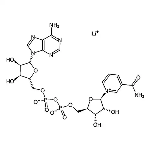 Β-菸鹼醯胺腺嘌呤二核苷酸