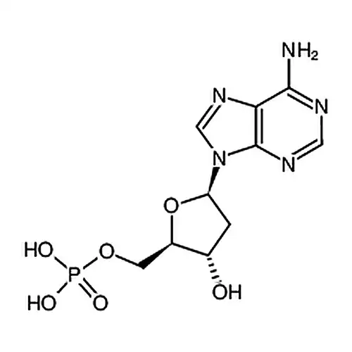 2′-脱氧腺苷-5′-单磷酸