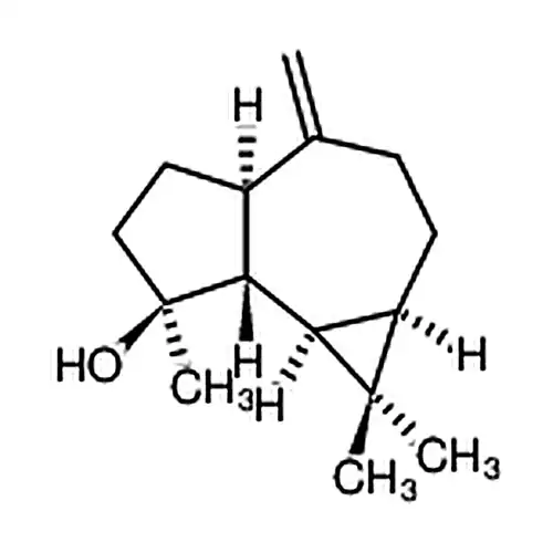 斯巴醇