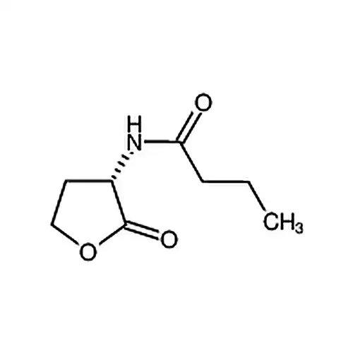 N-丁酰基-L-高丝氨酸内酯