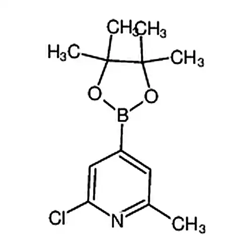2-氯-6-甲基-4-(4,4,5,5-四甲基-1,3,2-二氧硼杂环戊烷-2-基)吡啶