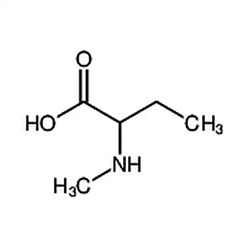 2-(甲基氨基)丁酸
