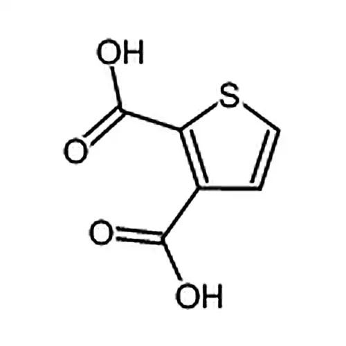 噻吩-2,3-二羧酸