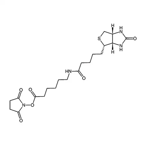 N-琥珀酰亚氨基6-生物素氨己酸
