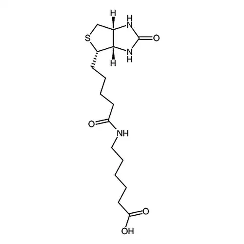 6-生物素氨基己酸