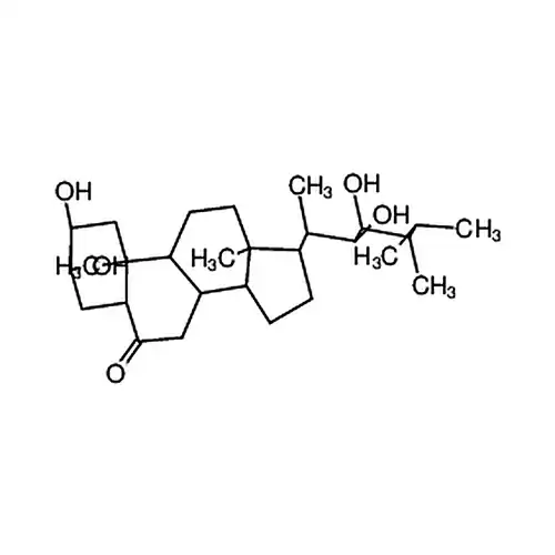 24-Epicastasterone