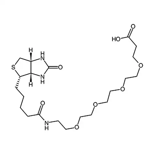 (+)-Biotin-PEG4-propionic acid