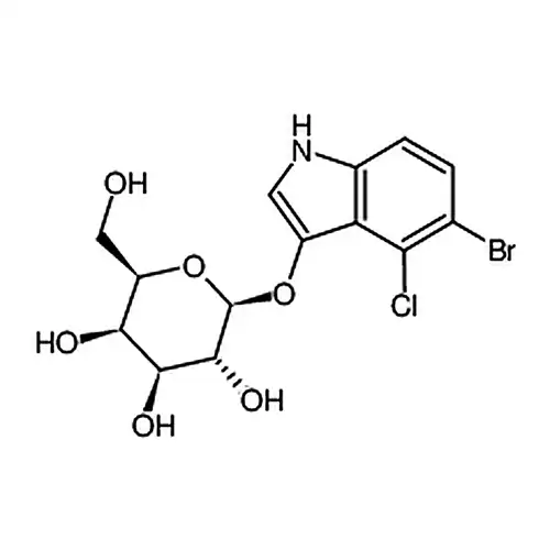 X-Gal溶液