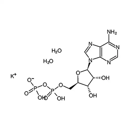 腺苷-5''-二磷酸单钾盐二水合物