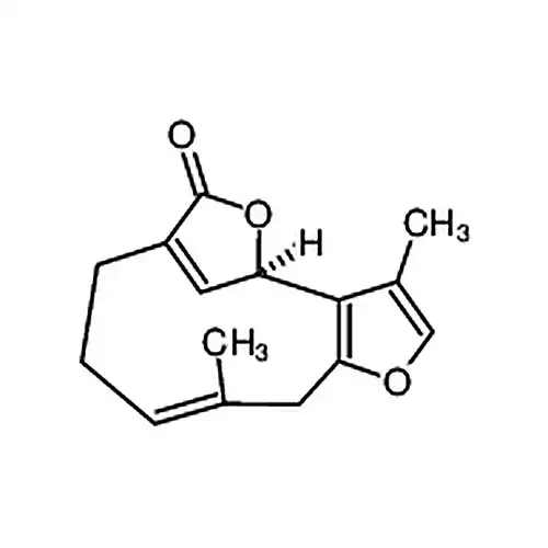 异乌药内酯