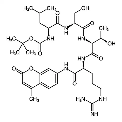 Boc-Leu-Ser-Thr-Arg-7-amido-4-methylcoumarin