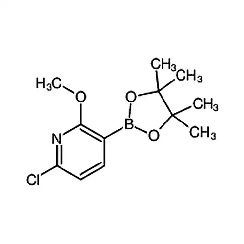 6-氯-2-甲氧基-3-(4,4,5,5-四甲基-1,3,2-二氧硼杂环戊烷-2-基)吡啶