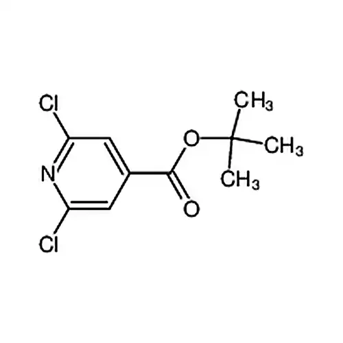 2，6-二氯吡啶-4-甲酸叔丁酯