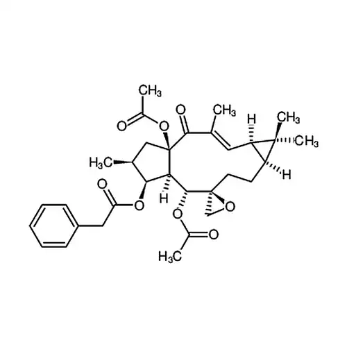 大戟因子L1