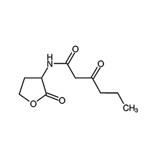 N-(Ketocaproyl)-DL-homoserine lactone