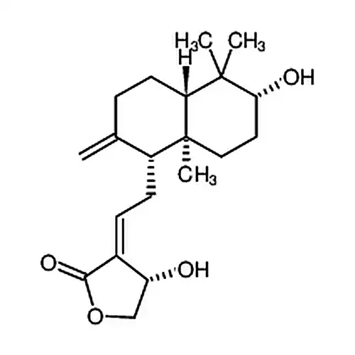 去氧穿心莲内酯