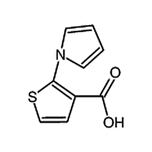 2-(1H-吡咯-1-基)噻吩-3-羧酸