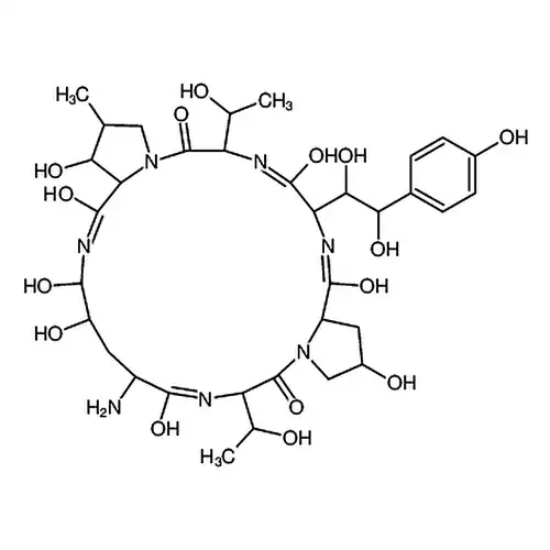 ECHINOCANDIN B