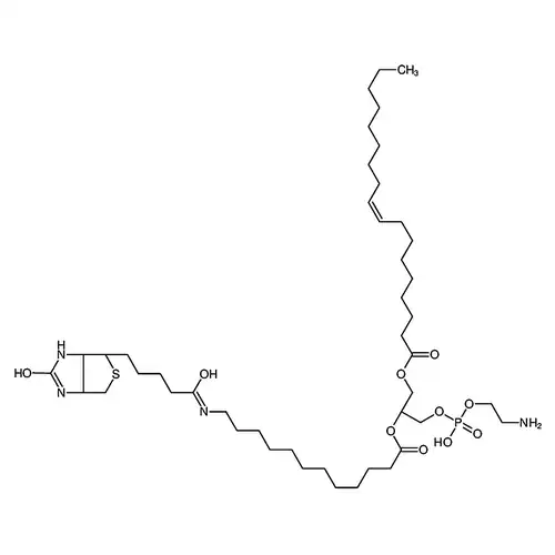 1-油酰-2-(12-生物素酰(氨基十二烷基))-sn-甘油-3-磷酸乙醇胺