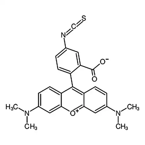 四甲基罗丹明-5-异硫氰酸