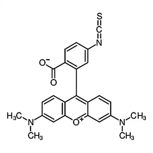 四甲基罗丹明-6-异硫氰酸