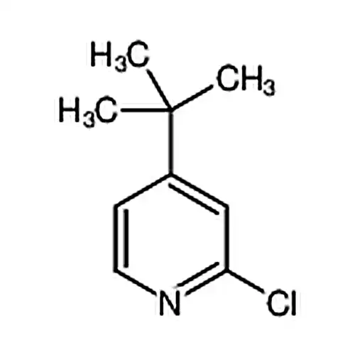 4-(叔丁基)-2-氯吡啶