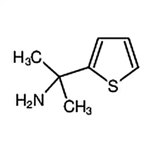 2-(噻吩-2-基)丙-2-胺