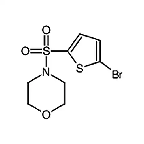 4-((5-溴噻吩-2-基)磺酰基)吗啉