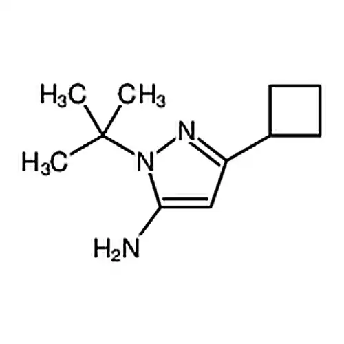 1-(叔丁基)-3-环丁基-1H-吡唑-5-胺