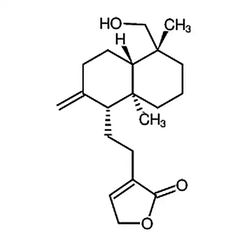 新穿心莲内酯苷元