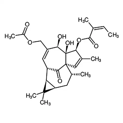巨大戟醇-3-O-当归酸-20-乙酸酯
