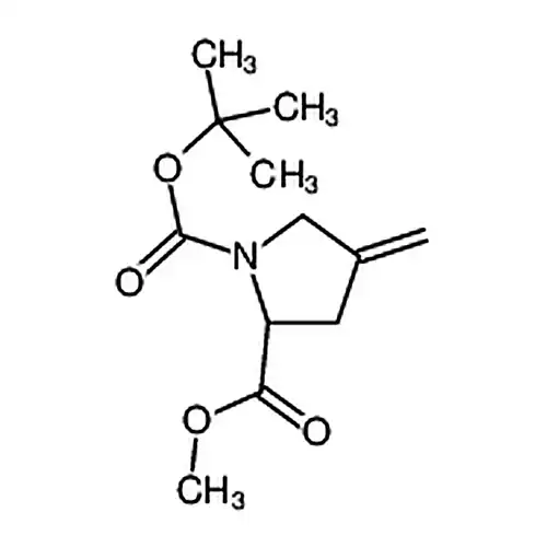 (s)-1-(叔丁氧基羰基)-2-甲基-4-亚甲基吡咯烷-2-羧酸