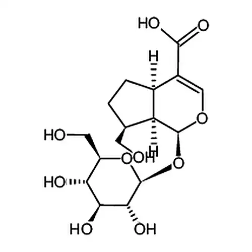 五福花苷酸