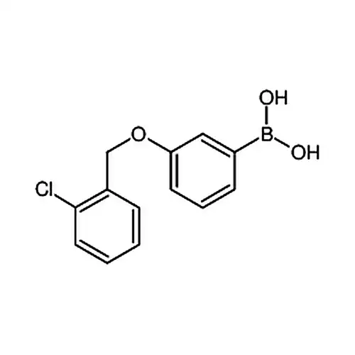3-(2'-氯苄氧基)苯基硼酸