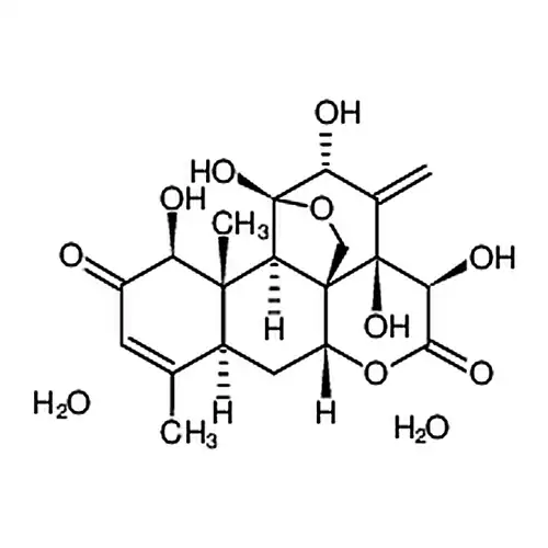 东革阿里提取物