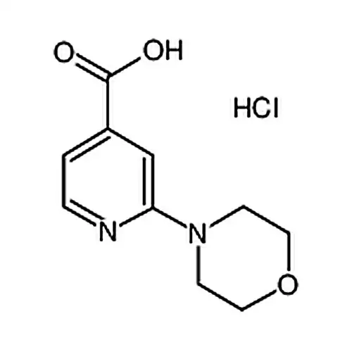 2-吗啉异烟酸盐酸盐