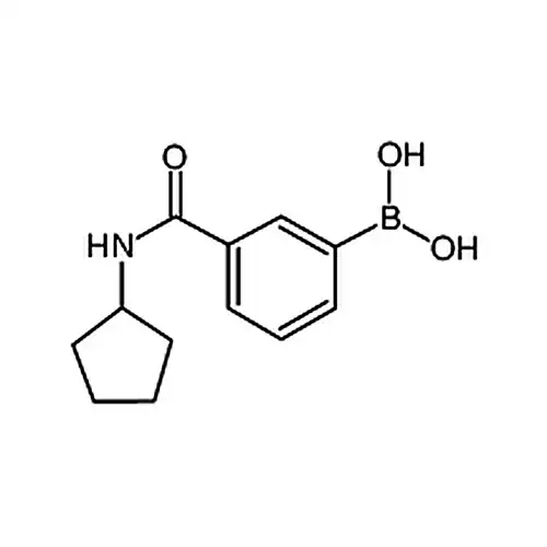 3-(环戊基甲酰氨)苯基硼酸