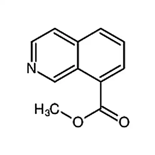 8-异喹啉甲酸甲酯