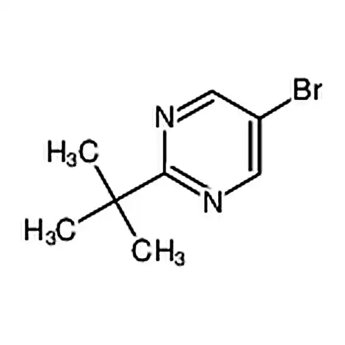 5-溴-2-叔丁基嘧啶
