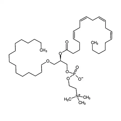 1-O-hexadecyl-2-arachidonoyl-sn-glycero-3-phosphocholine