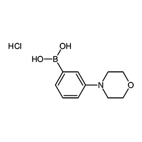 3-吗啉苯硼酸盐酸盐