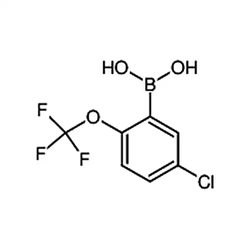[5-氯-2-(三氟甲氧基)苯基]硼酸