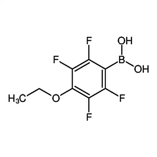 4-乙氧基-2，3，5，6-四氟苯基硼酸