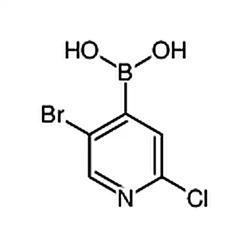 5-溴-2-氯吡啶-4-硼酸