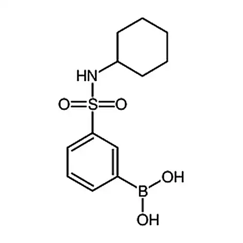 3-(环己基磺酰胺基)苯硼酸
