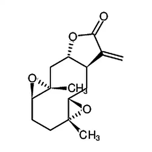 11(13)去氢腋生依瓦菊素