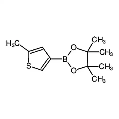 4，4，5，5-四甲基-2-(5-甲基噻吩-3-基)-1，3，2-二氧杂硼杂环戊烷
