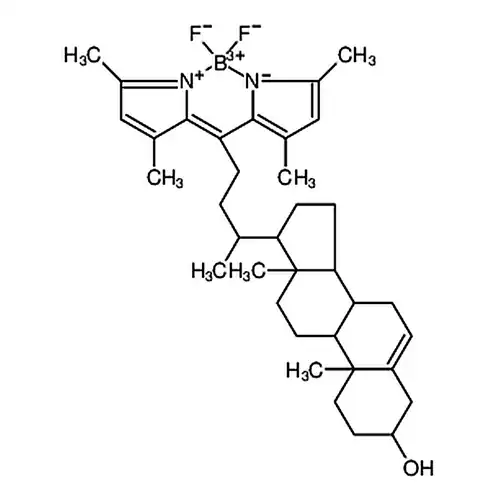 23-(dipyrrometheneboron difluoride)-24-norcholesterol